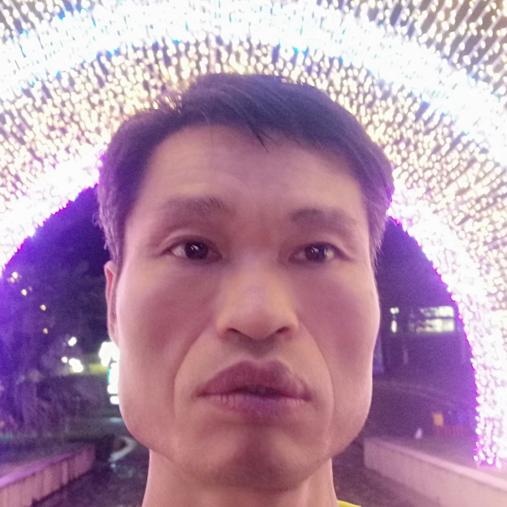 青衫子龙的照片