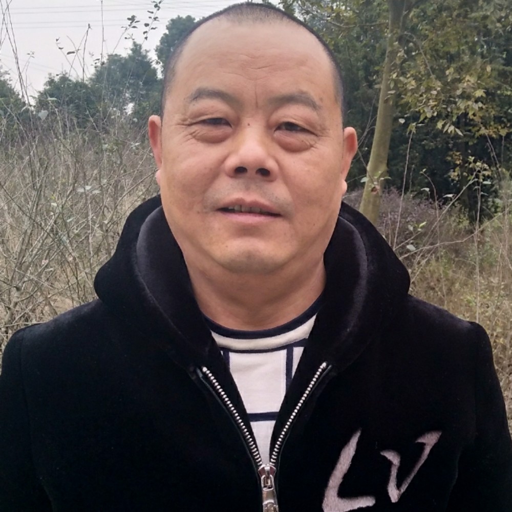 好戏连台的照片