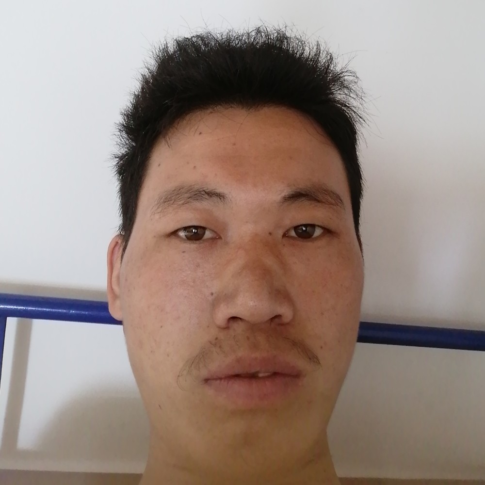 蜗牛漫步平常的照片