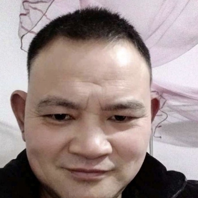 暧昧与斑马的照片