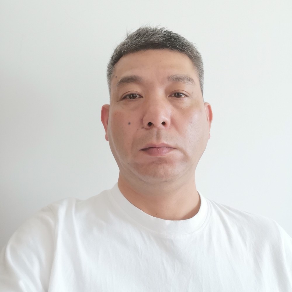 疯狂的羔羊的照片