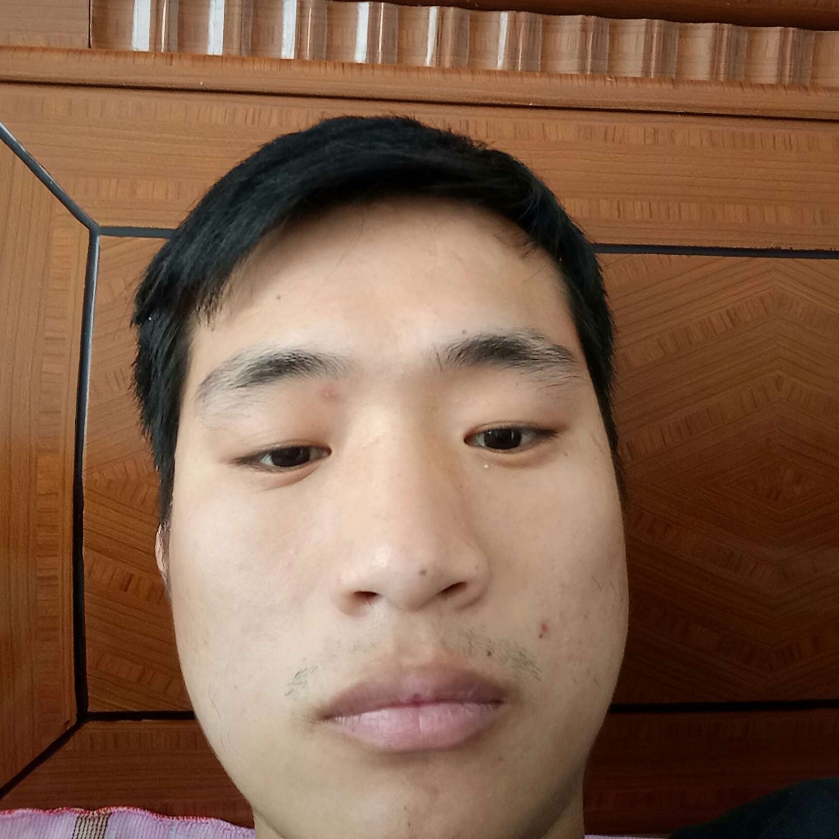 忧虑漫步小鸭子的照片