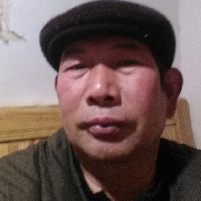 華麗舒荷的照片