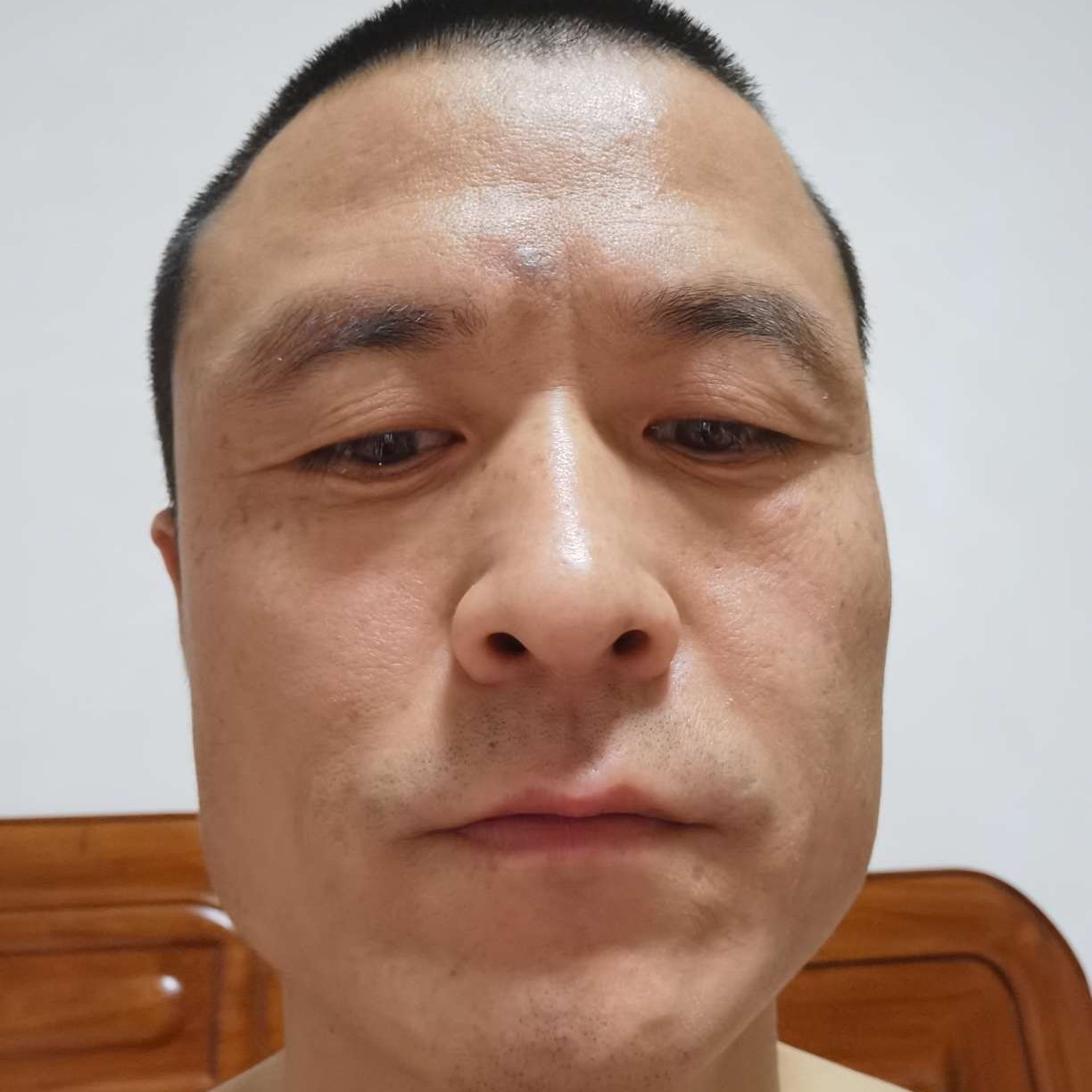 盛开花卉的照片