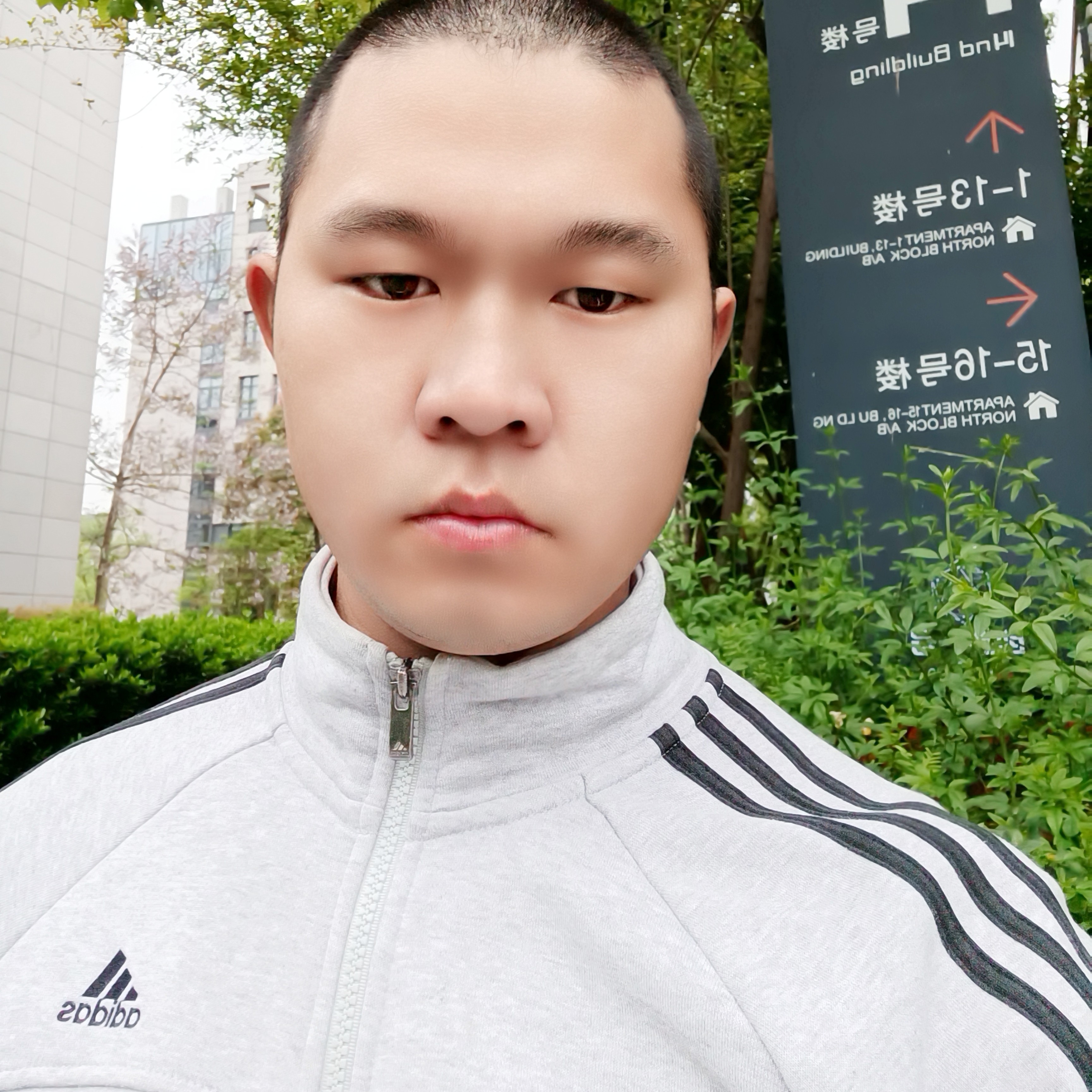 等待蹙眉夏露的照片