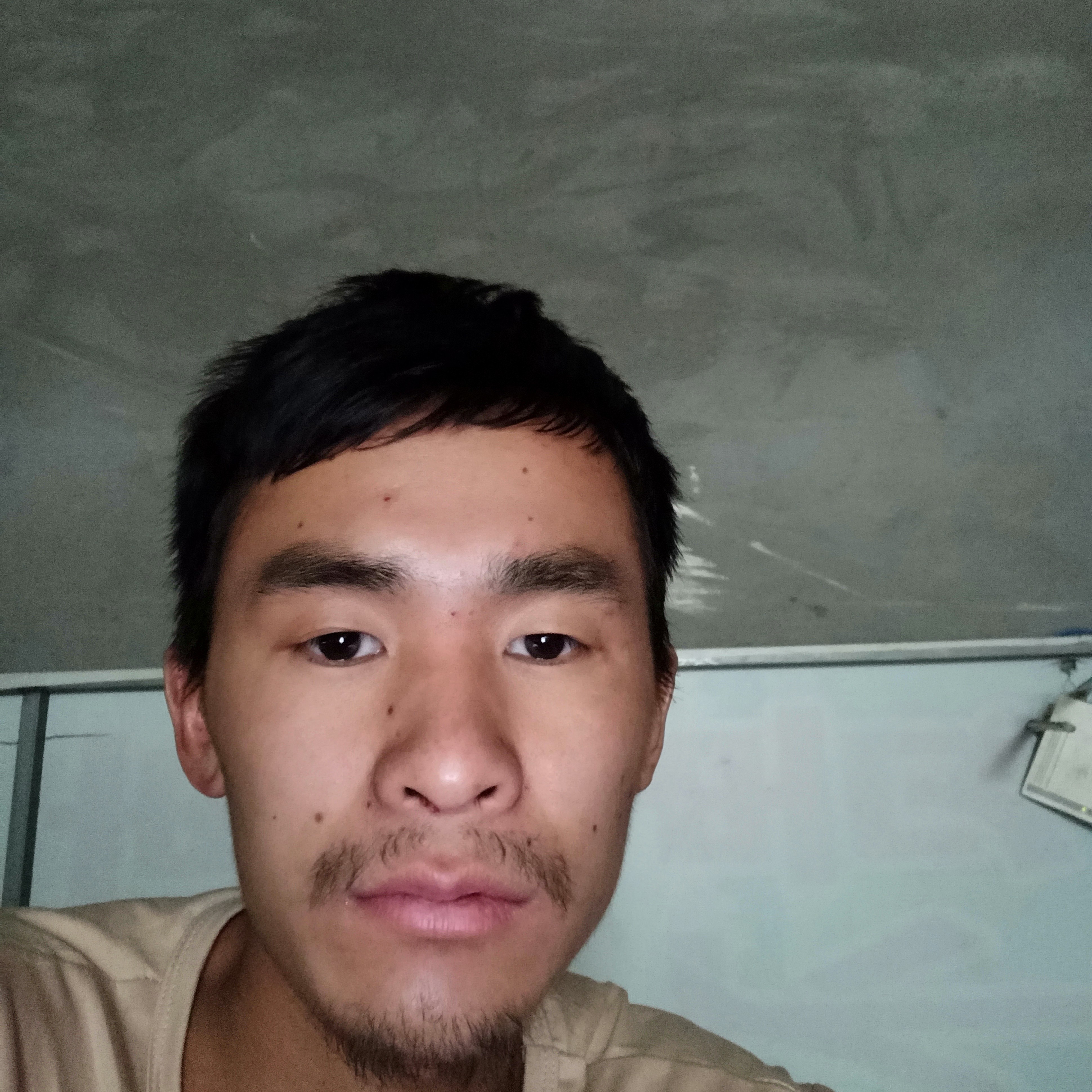 现代的洋葱的照片