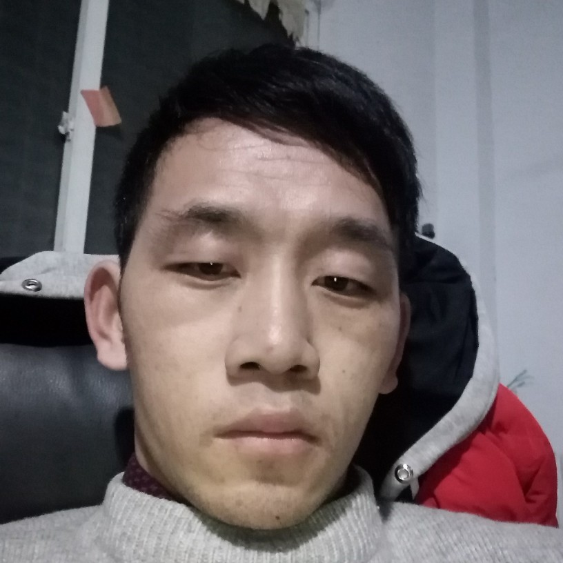 太阳联盟的照片