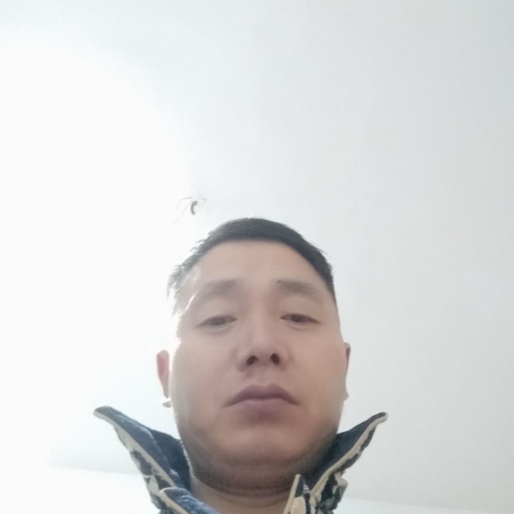 故意月饼的照片