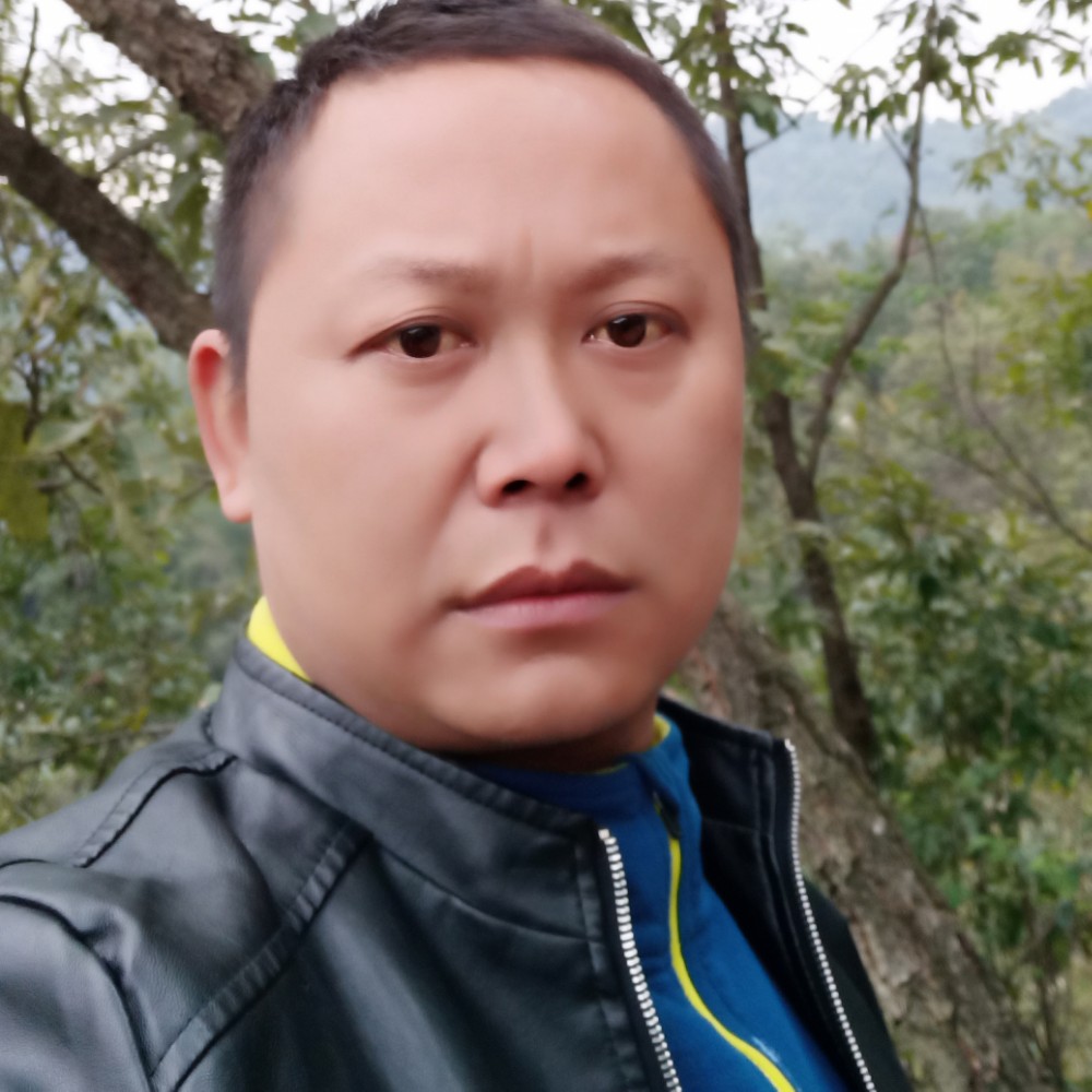 情归何处的照片