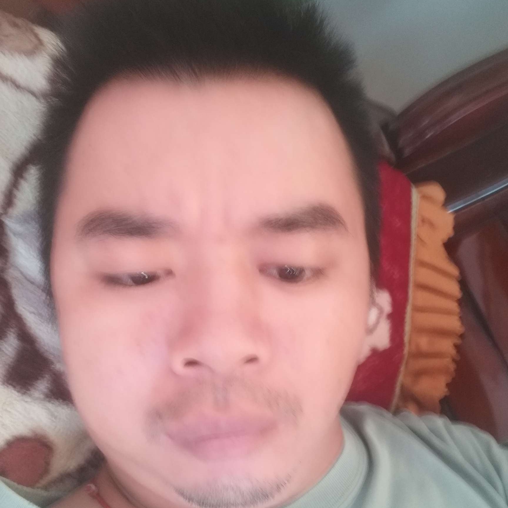 春天扯活泼的照片