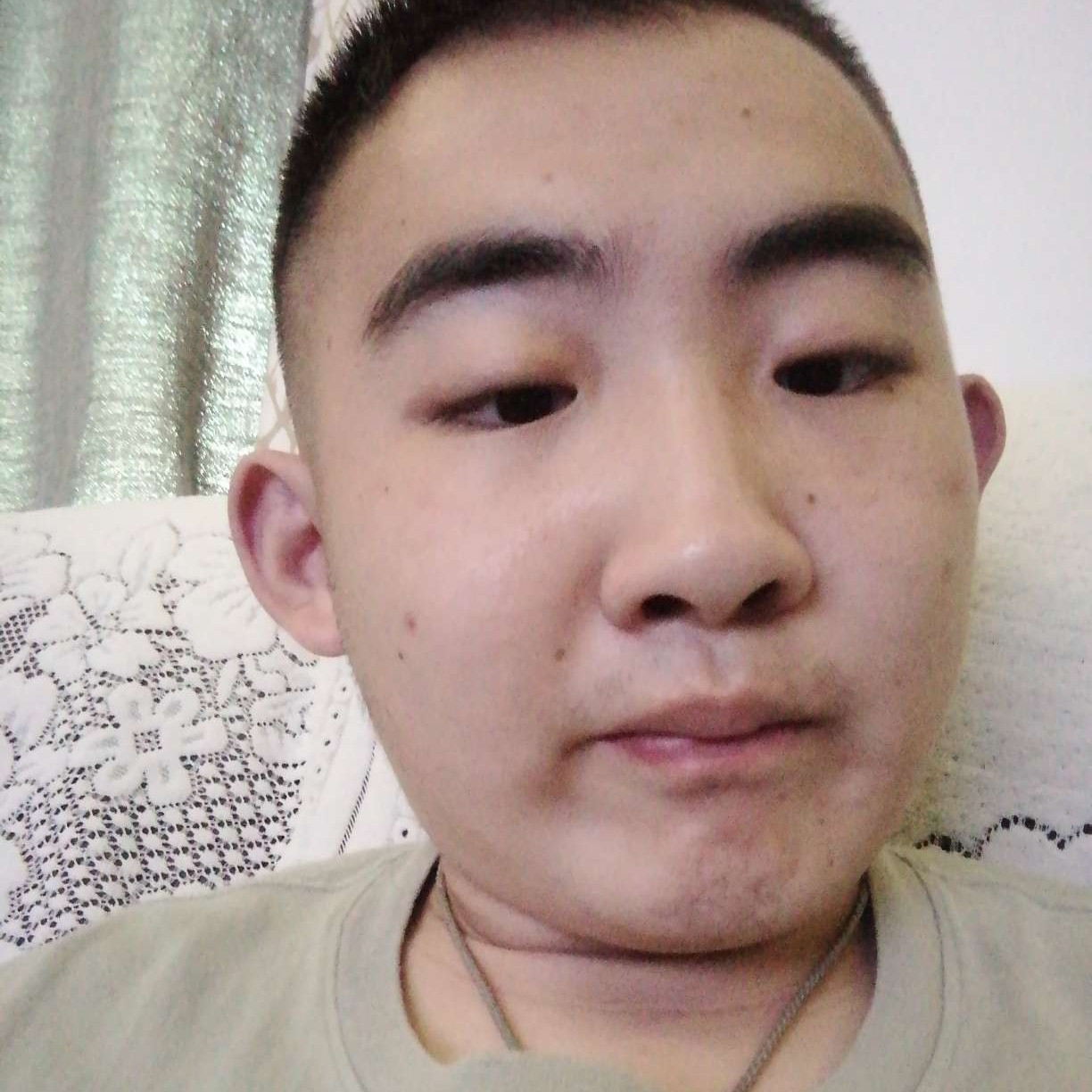 荔枝用活力的照片
