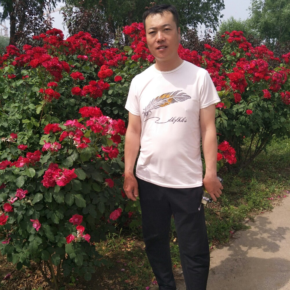 时尚河马的照片