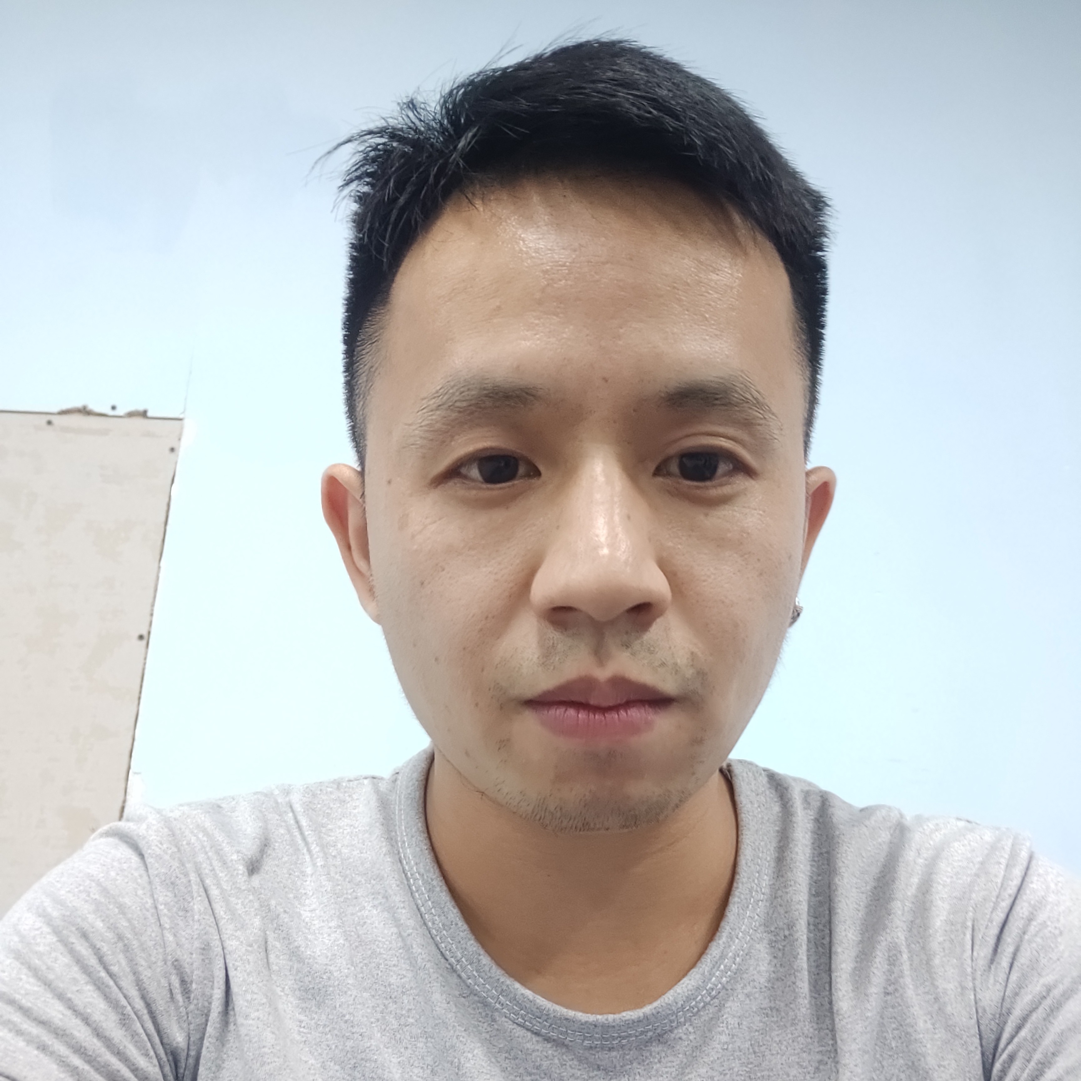 美好相许小海豚的照片