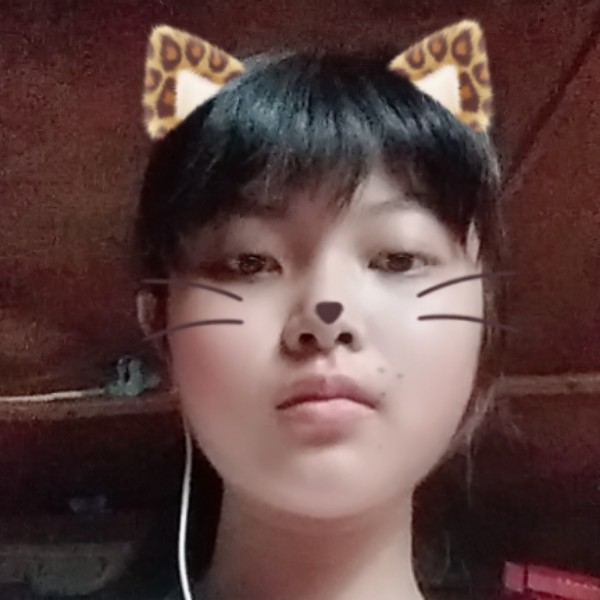 曲奇爱恋认真的照片