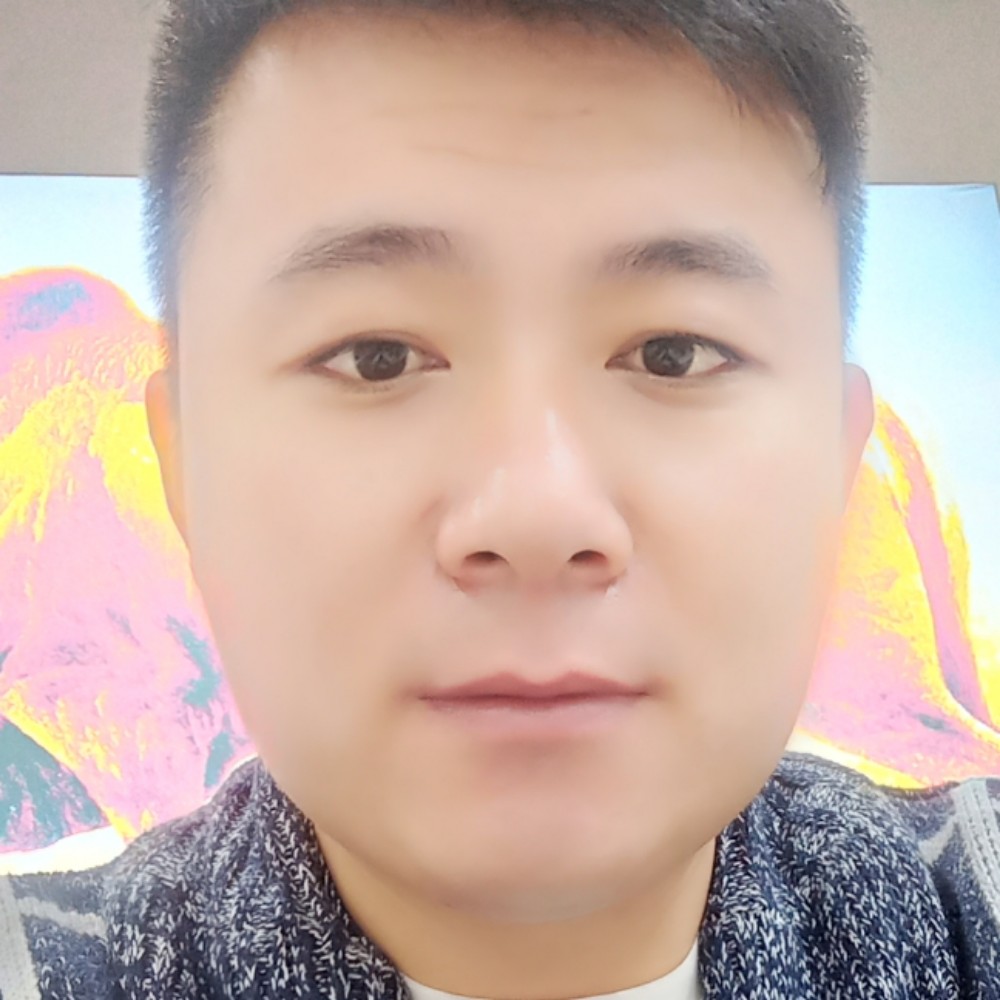 斑马有高大的照片