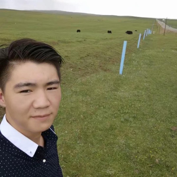 清月赋的照片
