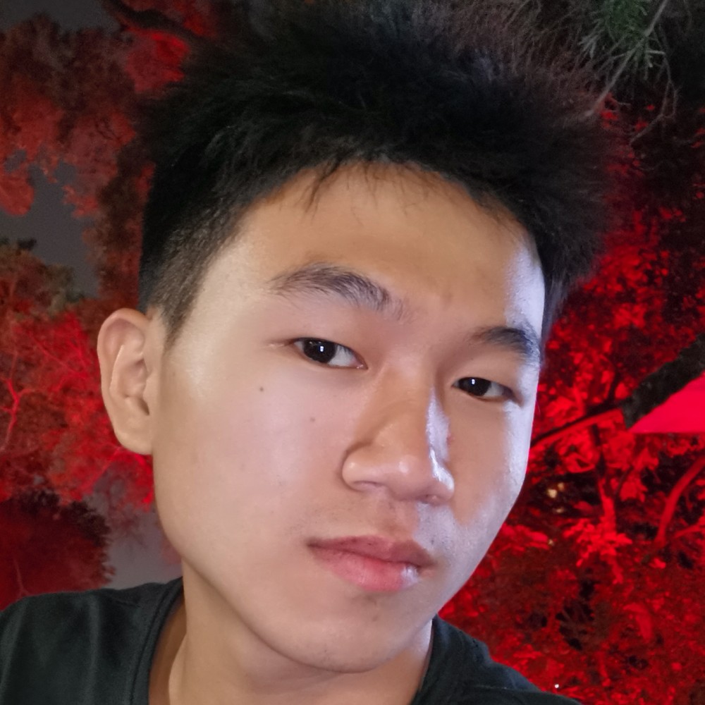 刻苦扯森槿的照片