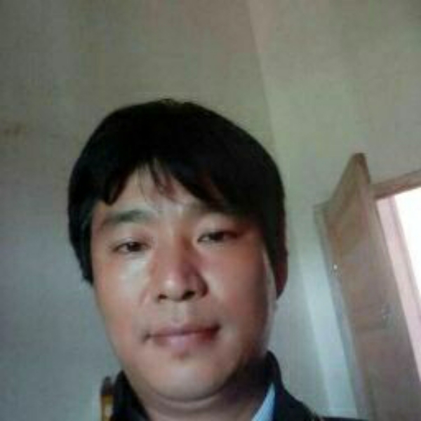 汽车浅吻魁梧的照片