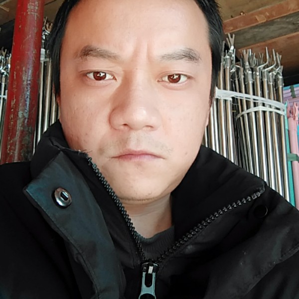 小海豚鳗鱼的照片