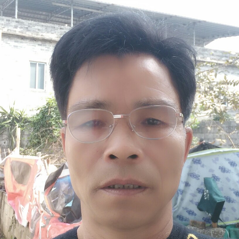 不醒笨鸟的照片