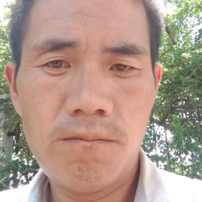 思恋斯文的照片