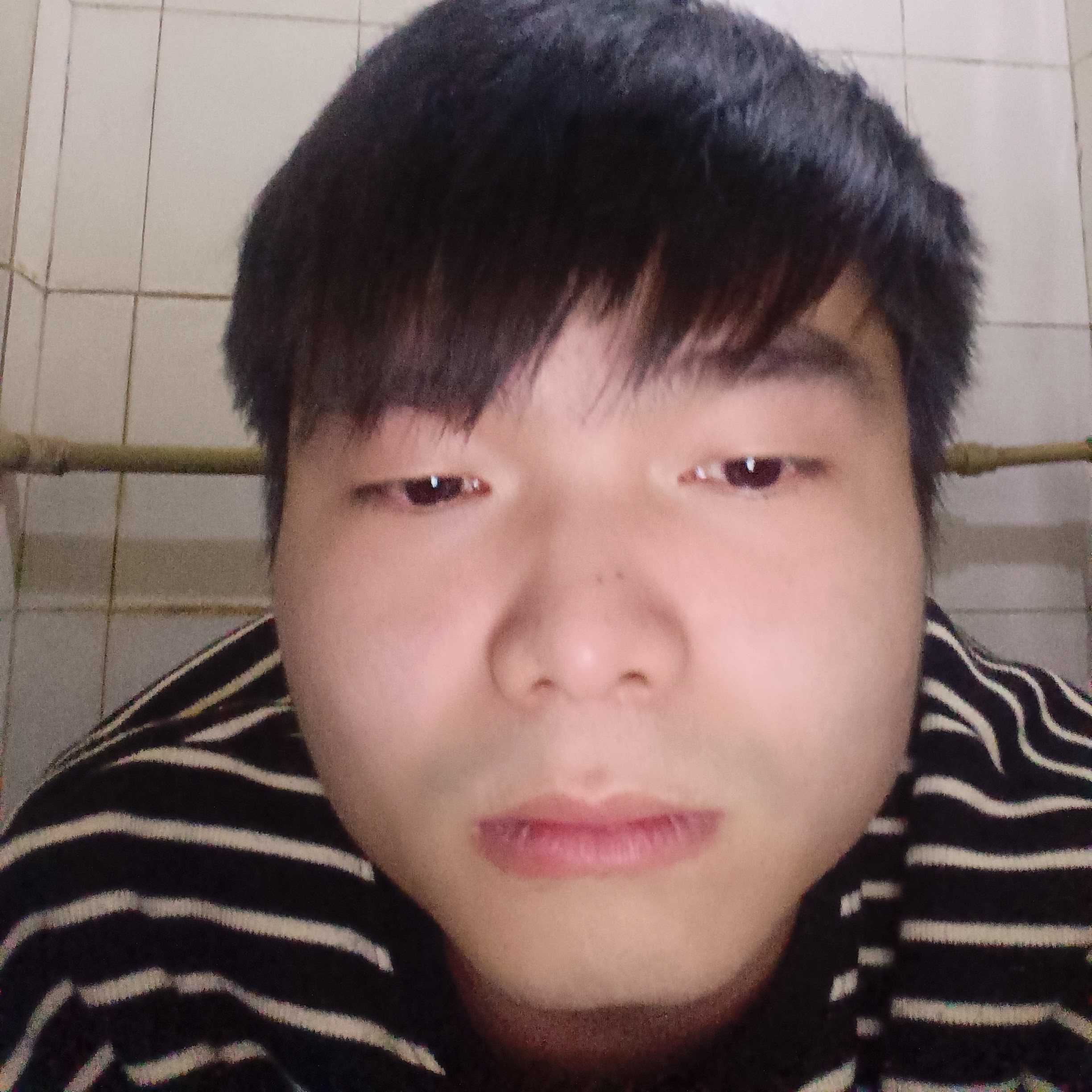 精明说青栀的照片