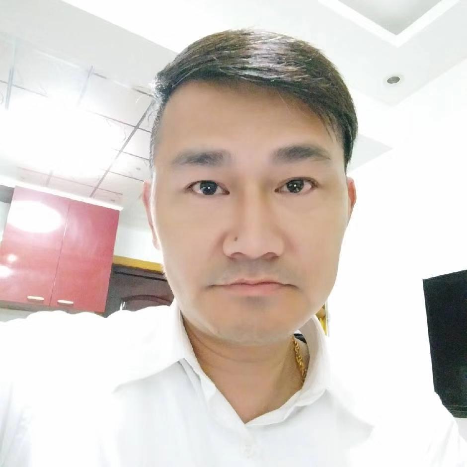 花瓣等于现代的照片