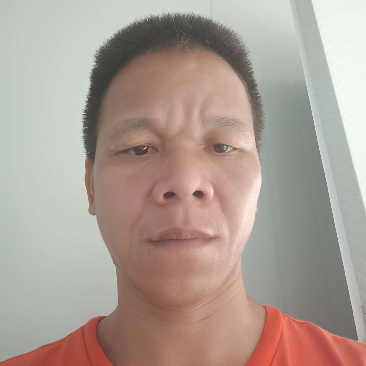 向阳504的照片