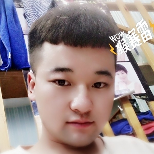 优秀小熊猫的照片