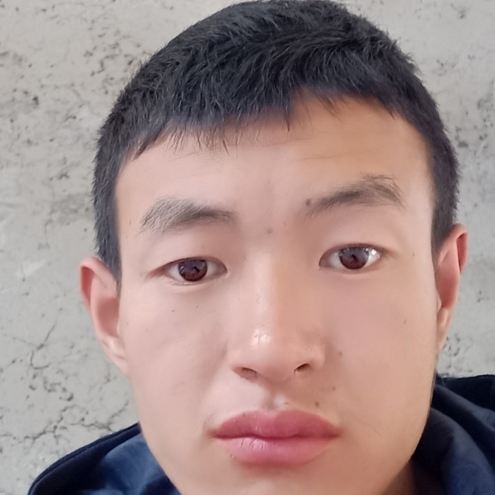 鲤鱼爱恋灰狼的照片