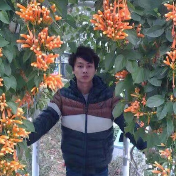 蛋挞机灵的照片