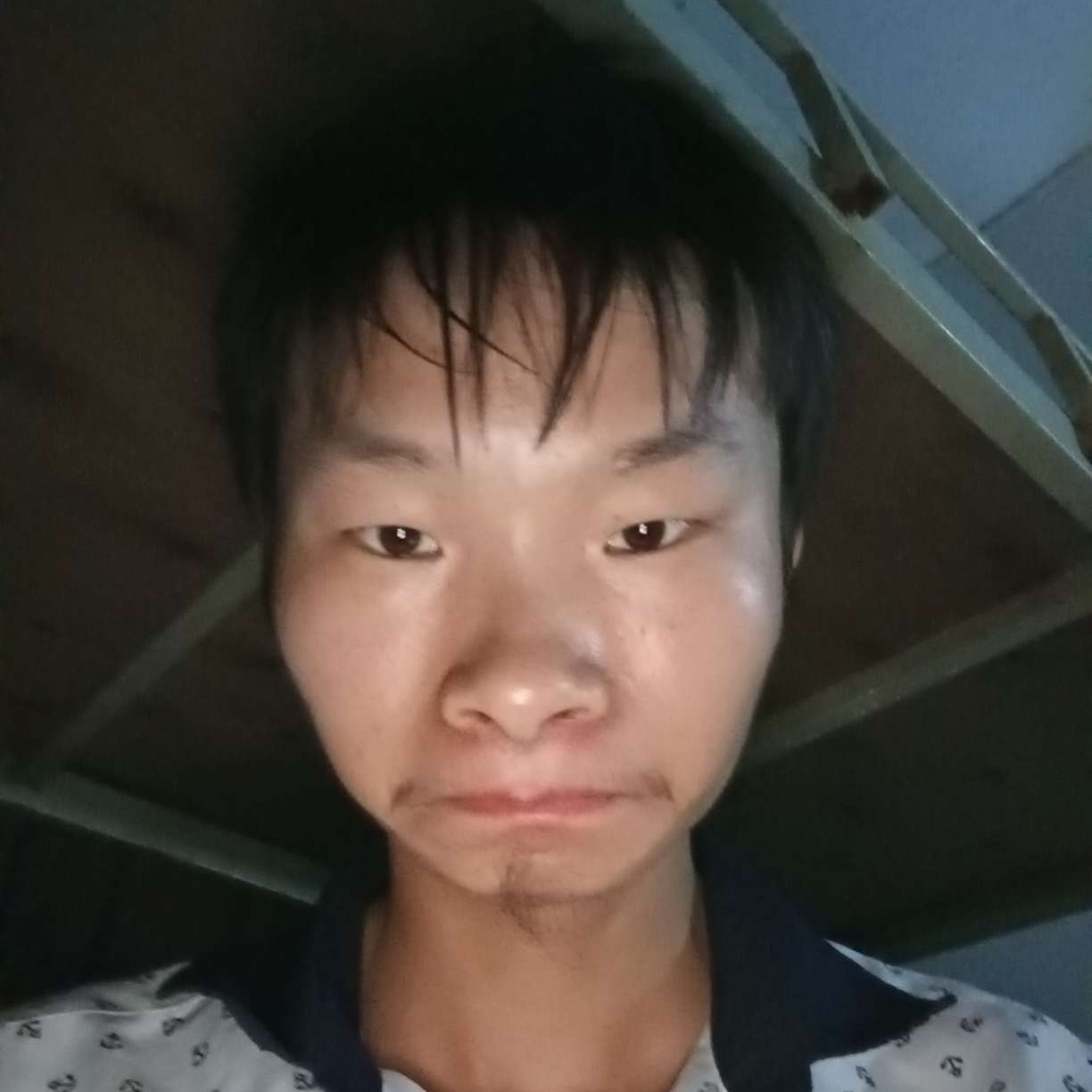 仙人掌就踏实的照片