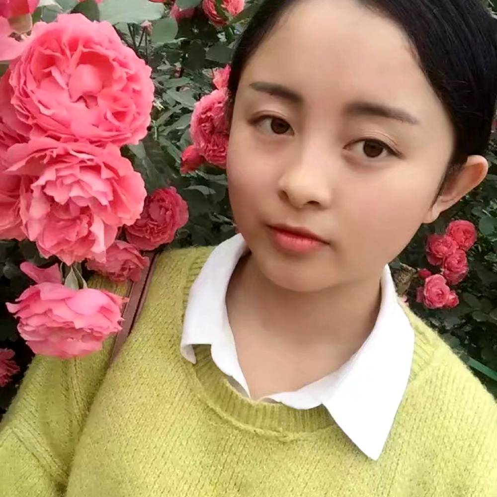 迷雾里的麋鹿的照片
