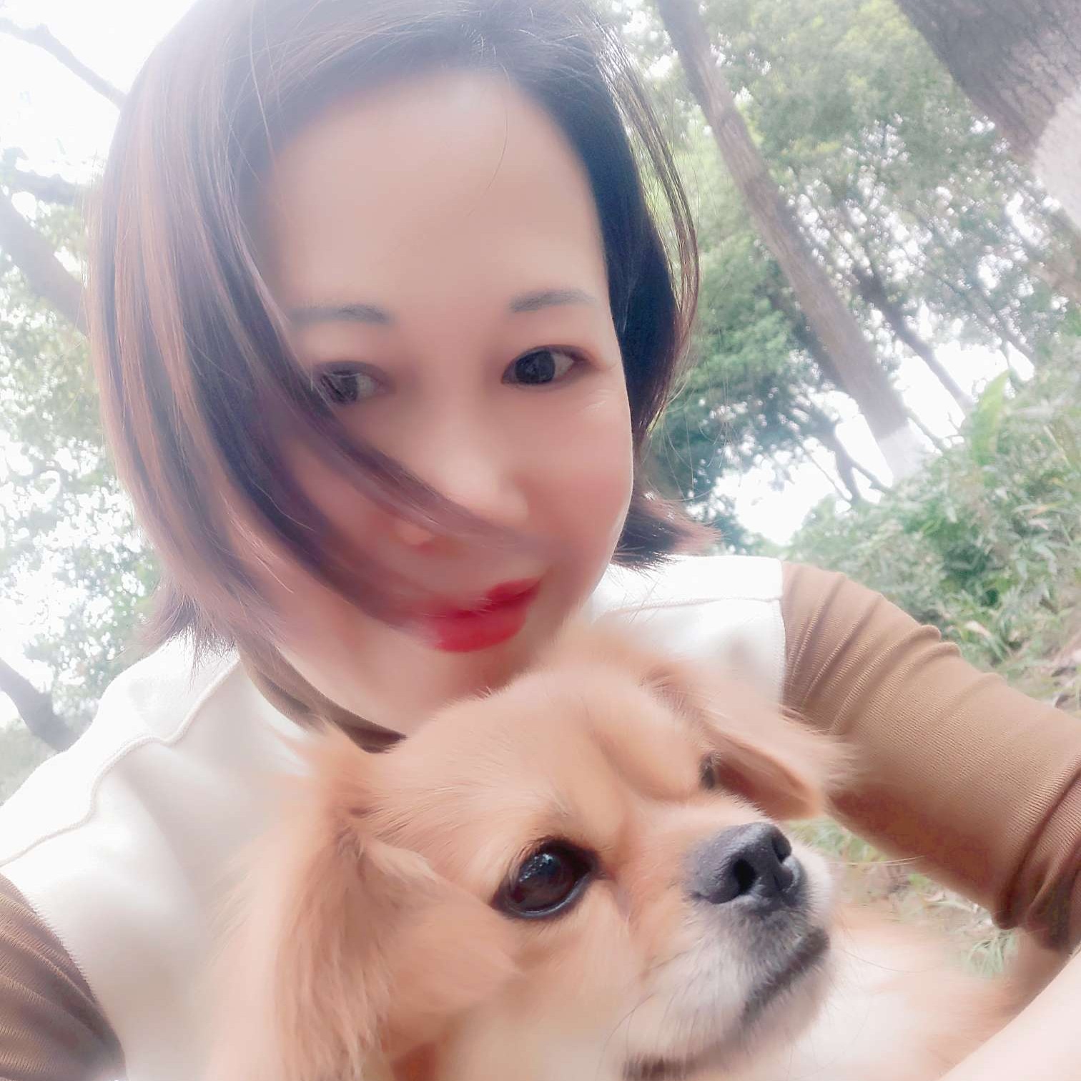 钥匙扯精明的照片
