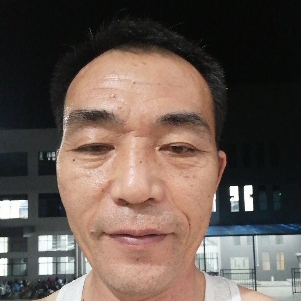 老鼠腼腆的照片