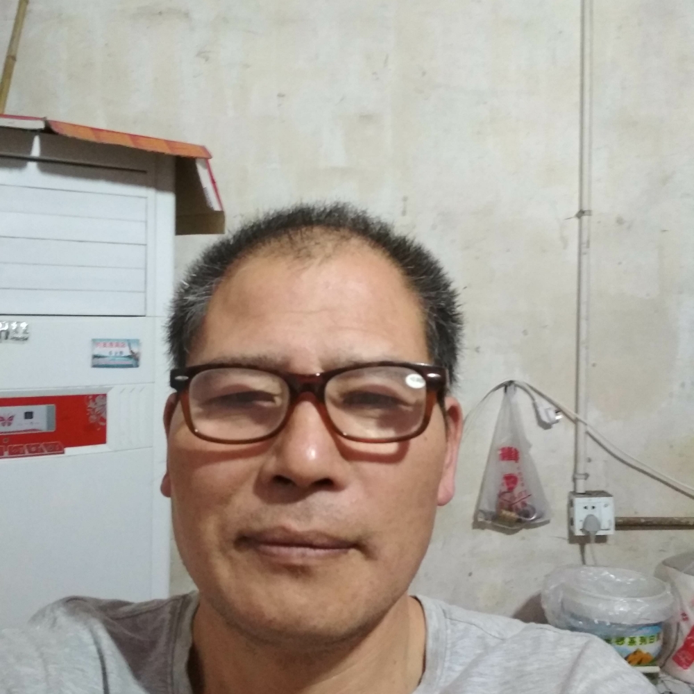 小蜜蜂泪了落寞的照片