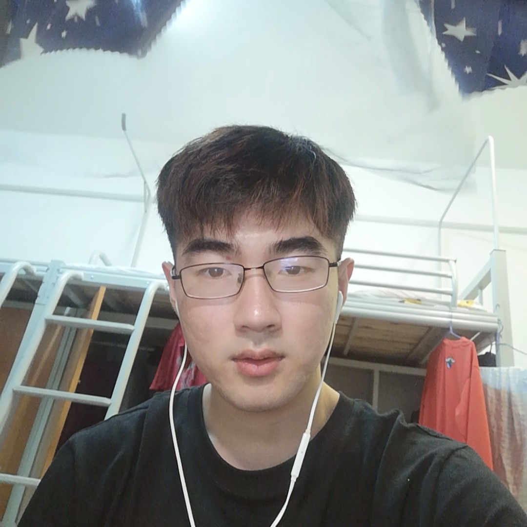 乌龟还风中的照片