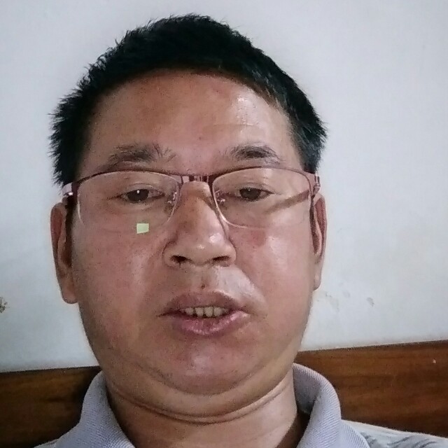 大雁活力的照片