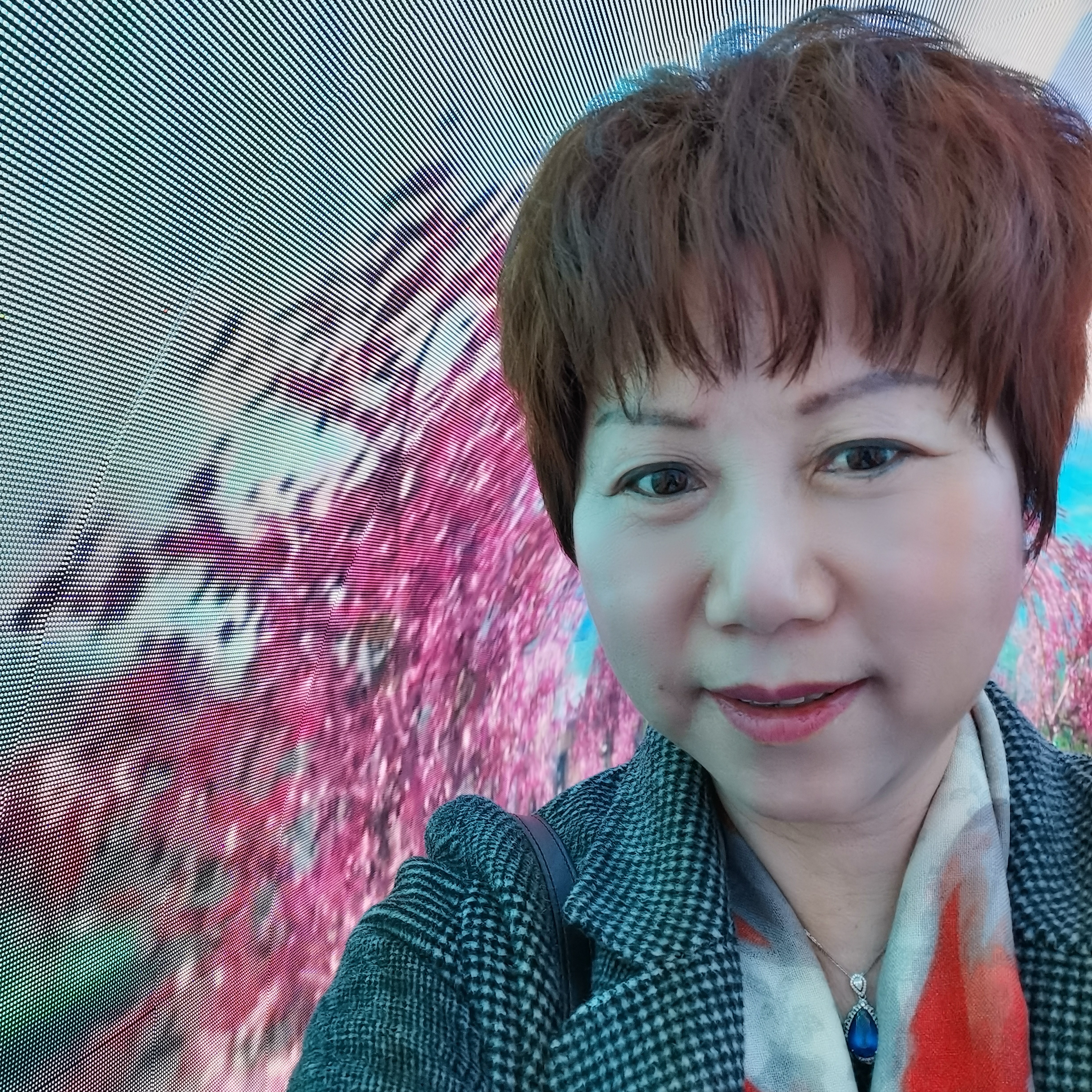 会员016844839的照片