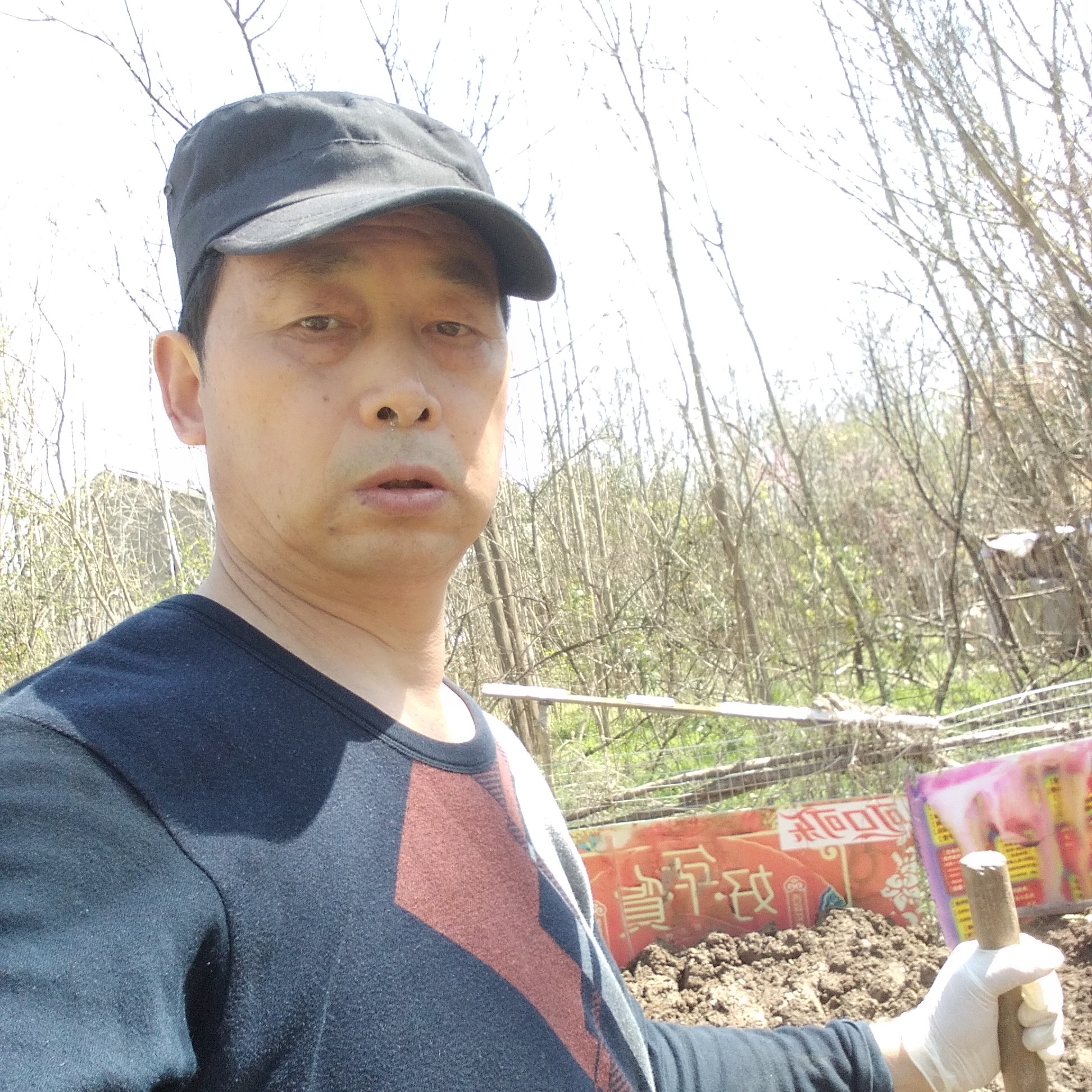 认真等于小蚂蚁的照片