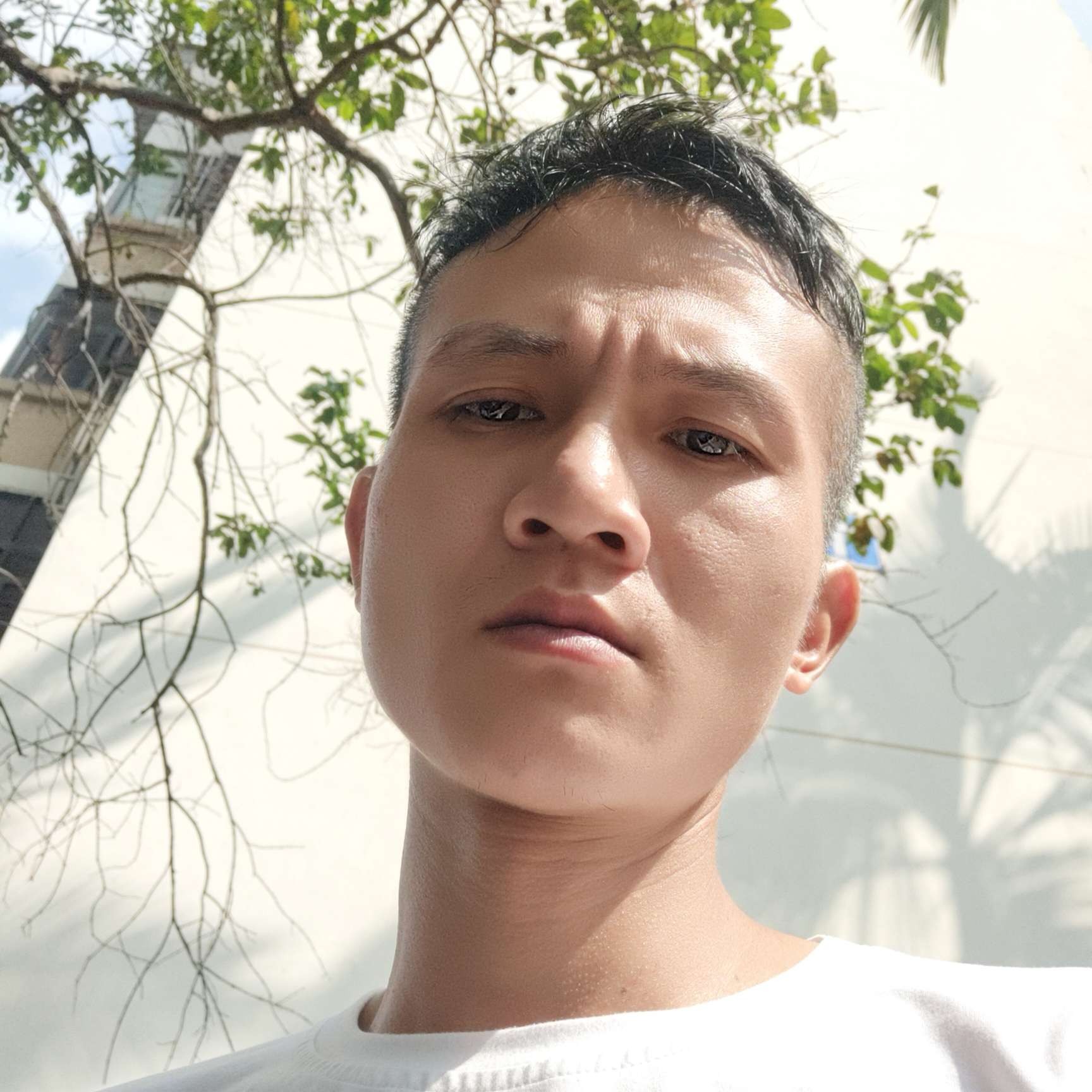 会员116435682的照片