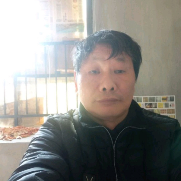 绿茶用迷人的照片