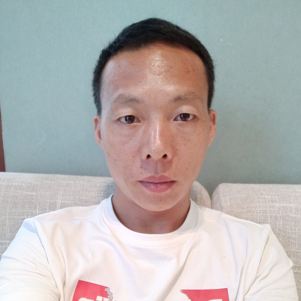 粗暴刺猬的照片