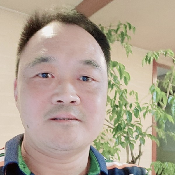 蓝莓整齐的照片