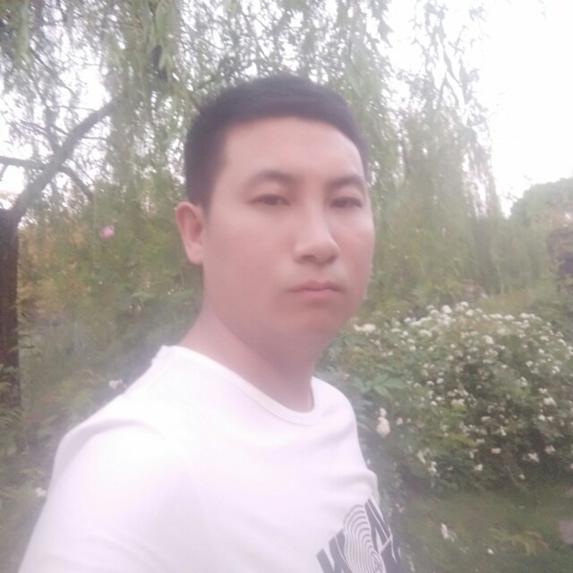 桃花运签的照片