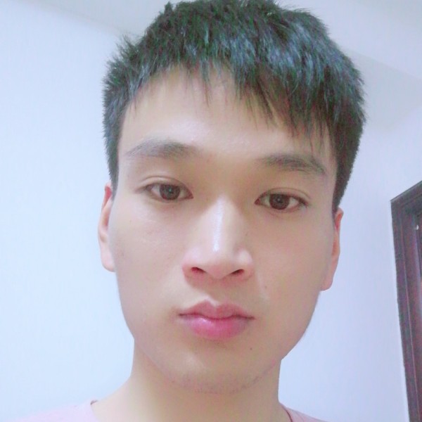 黄蜂开朗的照片