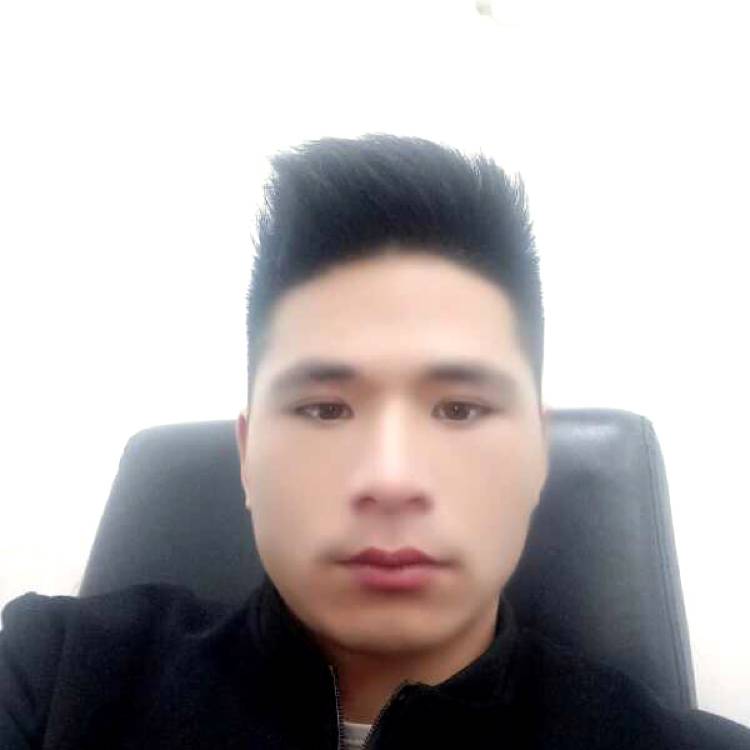 谈情不如掏心的照片