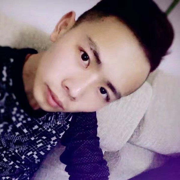 平凡的小猪的照片