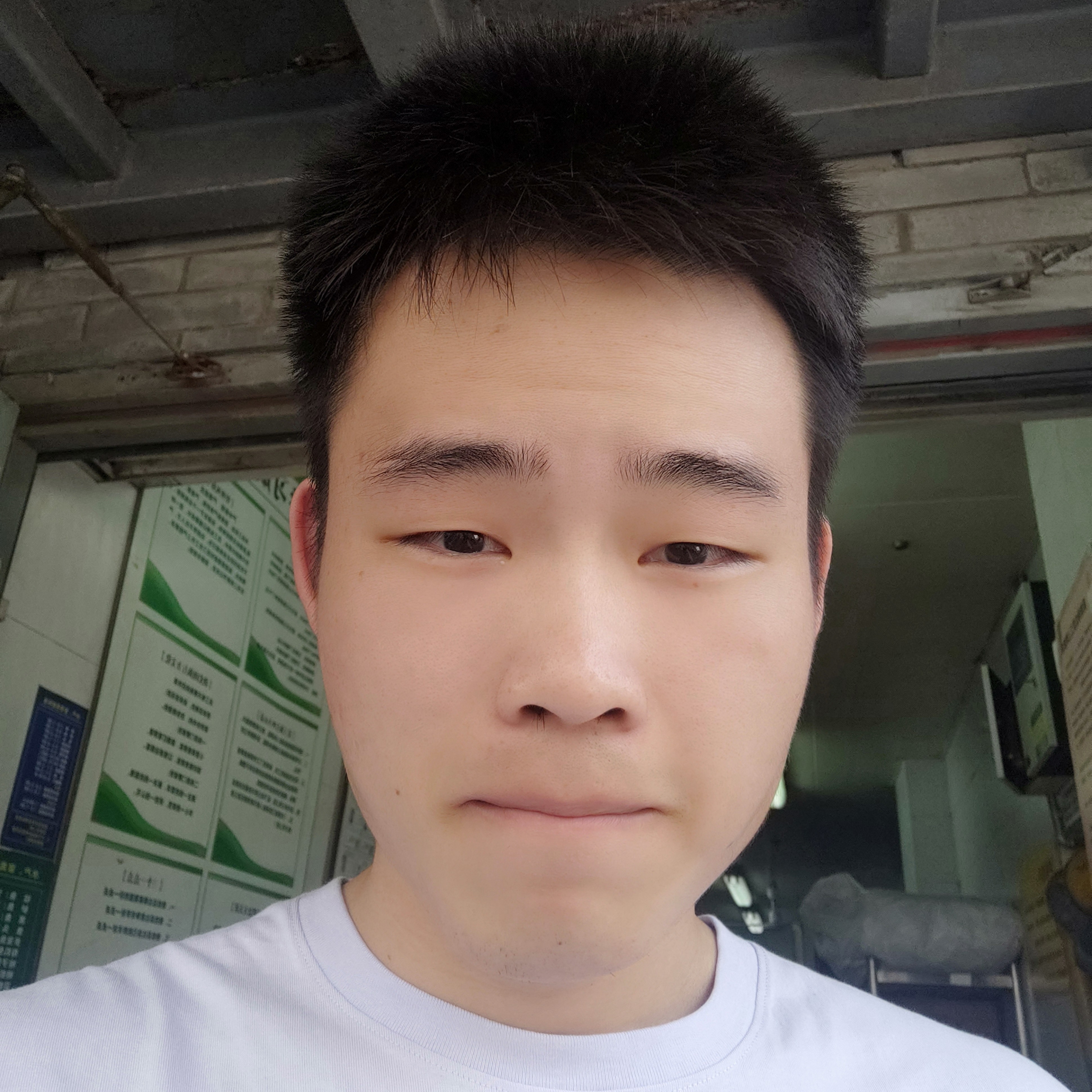 贪玩等待玫瑰的照片