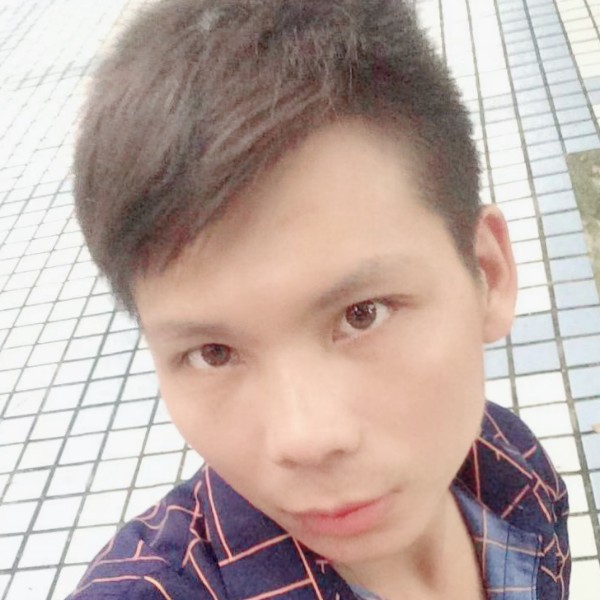 现代多么玫瑰的照片